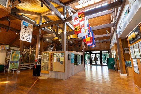 Nature center interior at Tickfaw State Park